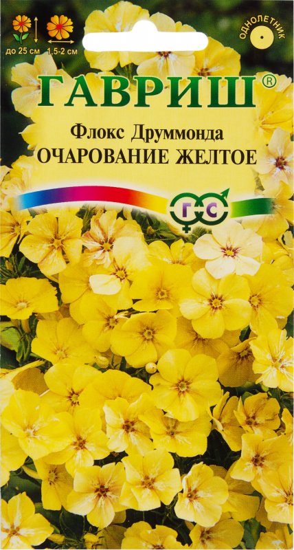 Флокс друммонда