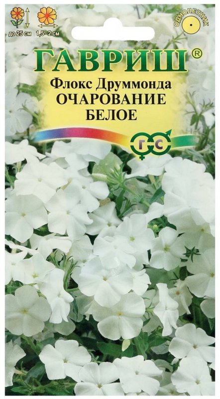 Флокс друммонда очарование желтое