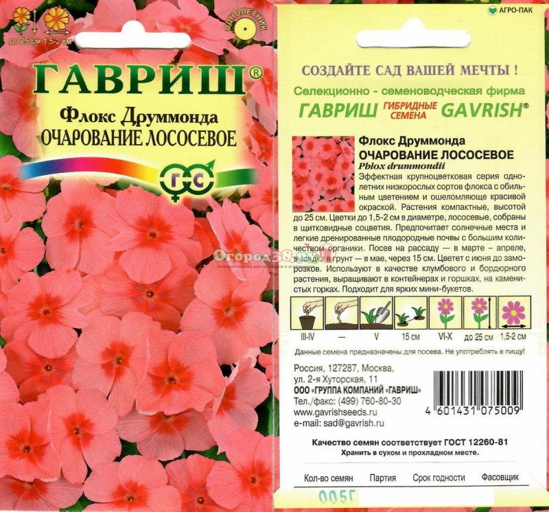 Флокс желтый семена
