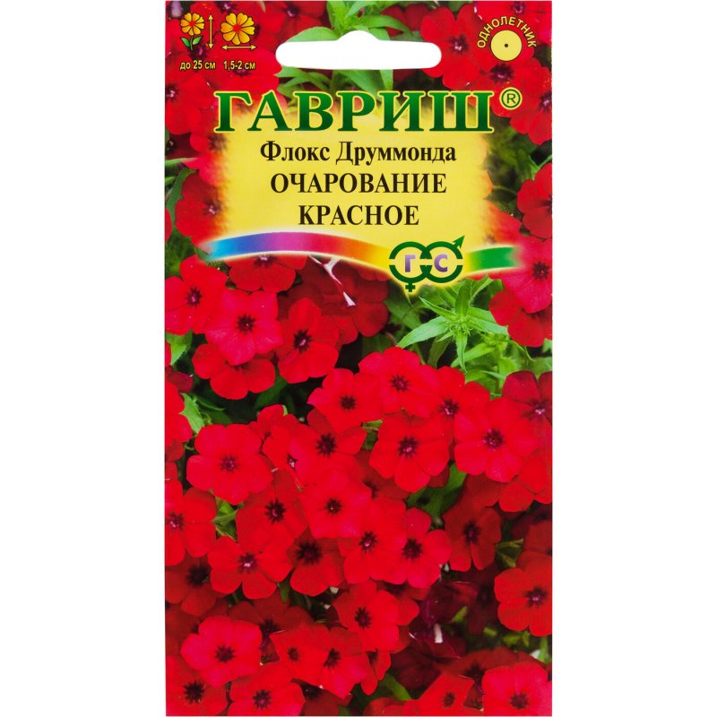 Флокс друммонда красный