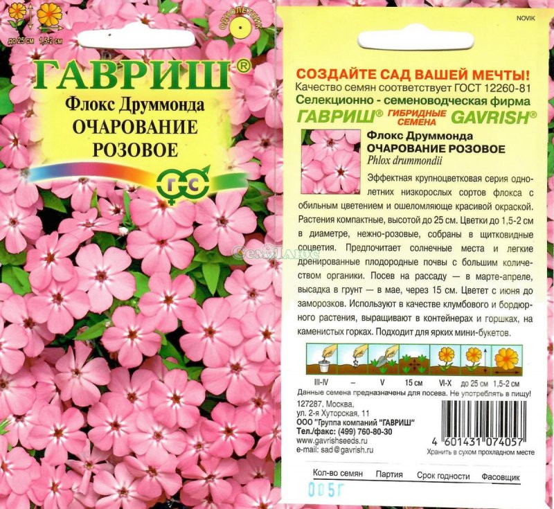 Флокс Orchid Yellow