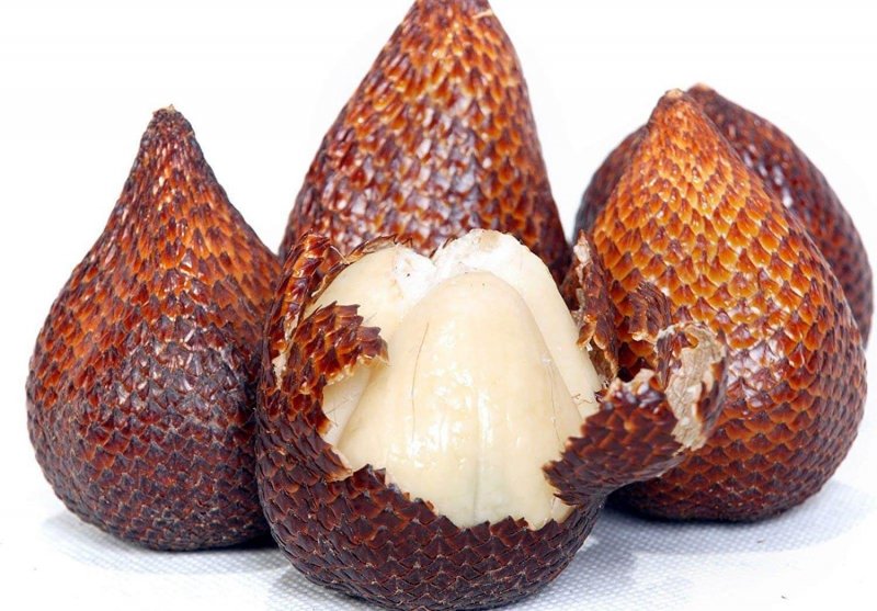 Salacca zalacca