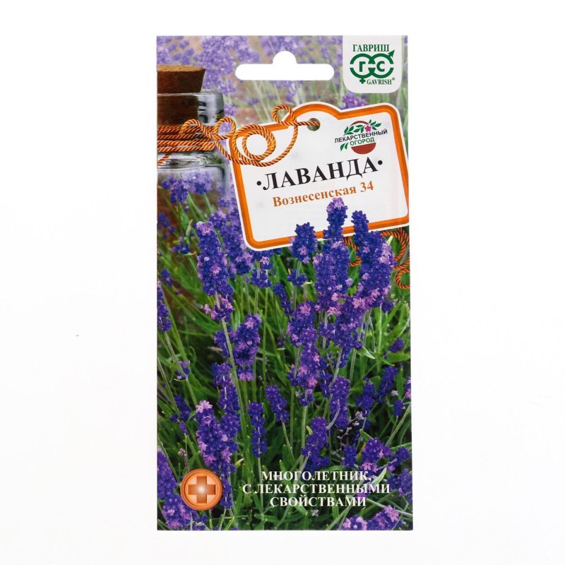 Миксбордер с лавандой и шалфеем
