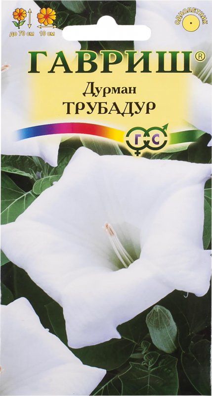 Датура (дурман) (Гавриш) сиреневый махровый