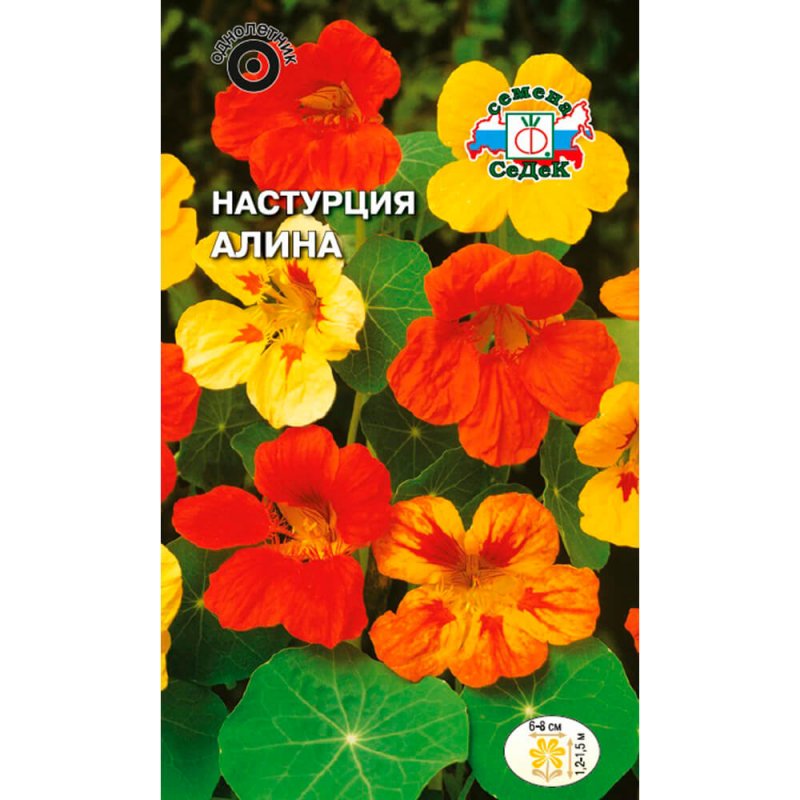 Настурция Алина вьющаяся