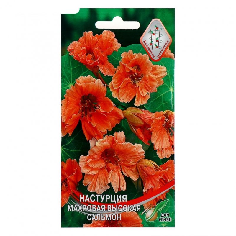 Настурция махровая