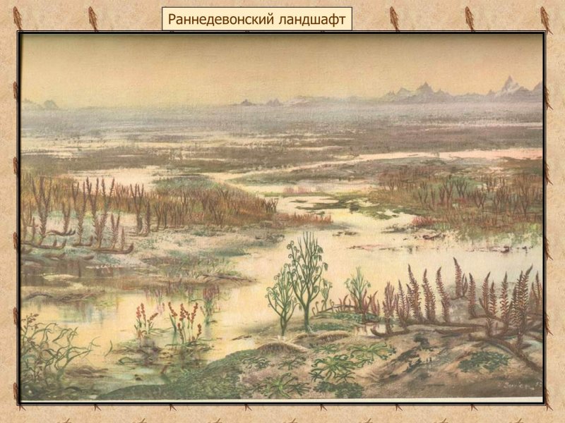 Дифазиаструм трёхколосковый – Diphasiastrum tristachyum