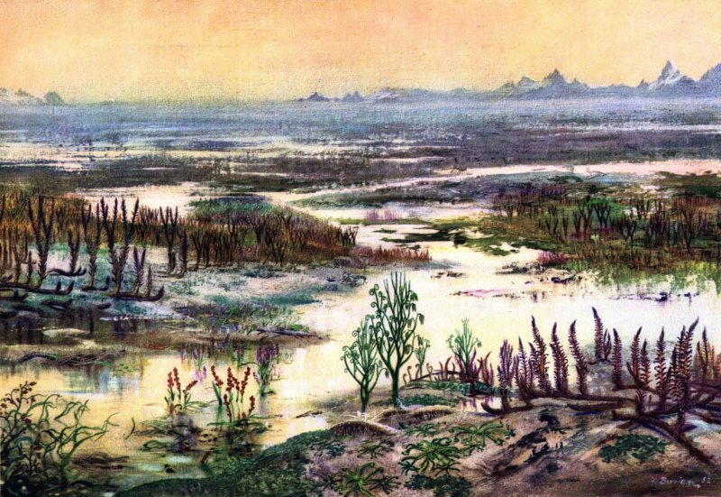 Тортула стенная