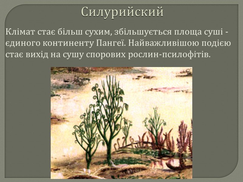 Проломник соцветие