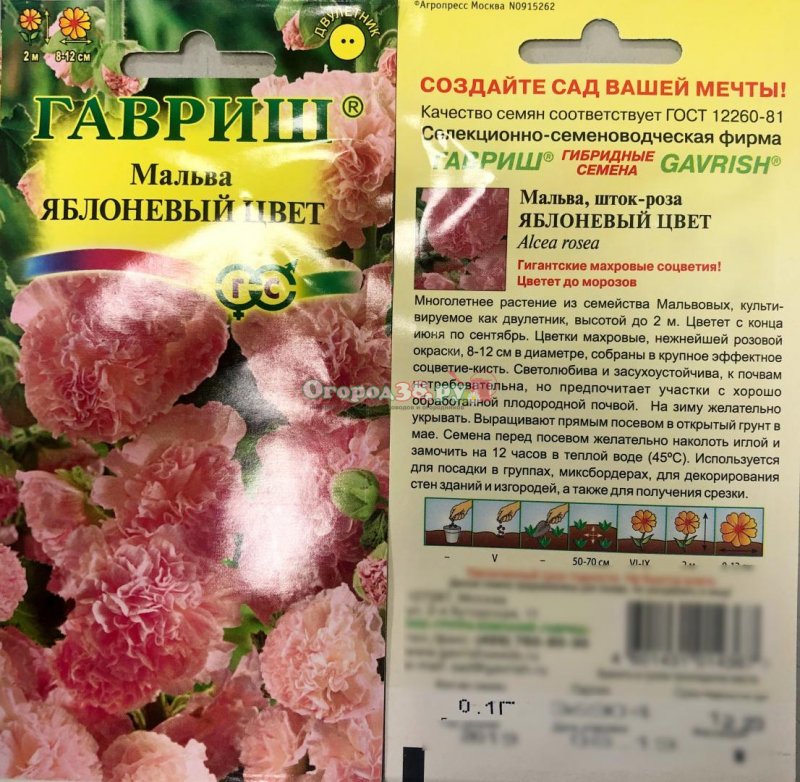 Мальва цветок розовая