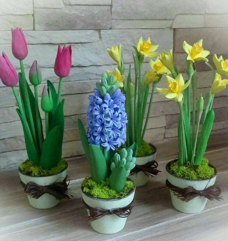 Крокусы и гиацинты в горшке