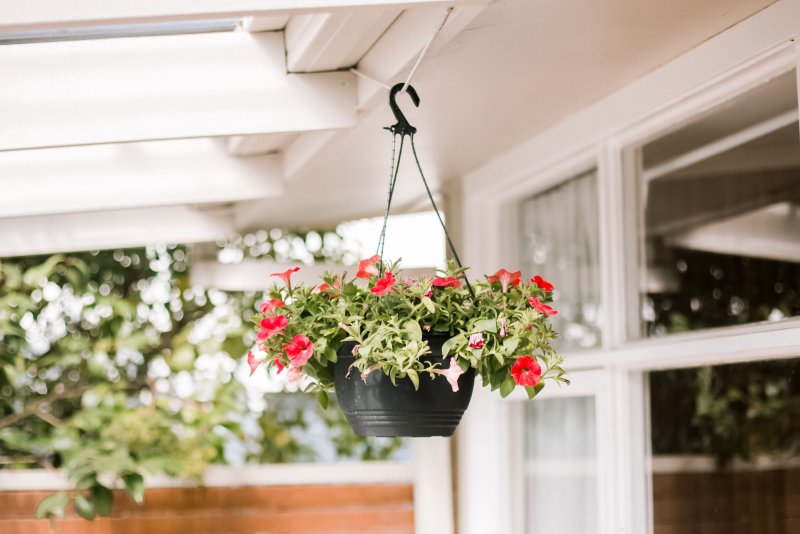 Summer Flower Arrangements for outside