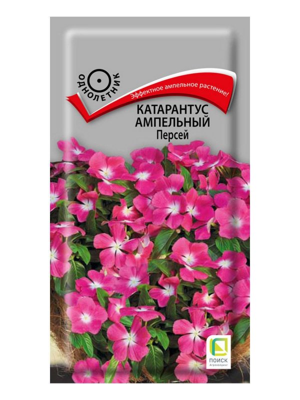 Катарантус Джеймс Джеллис
