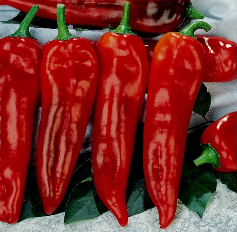 Перец сладкий Корно ди Торо красный