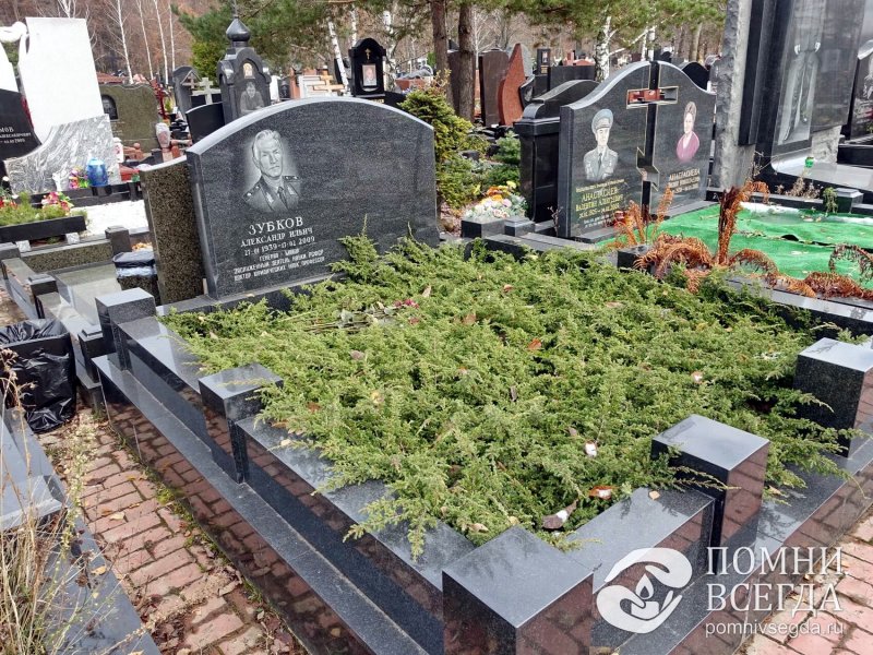 Можжевельник на кладбище