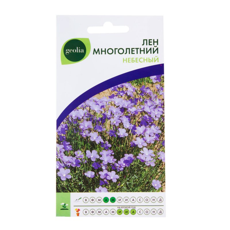 Лен многолетний Небесный Аэлита