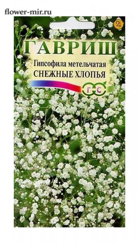Гипсофила метельчатая махровая 'Сноуфлейк'