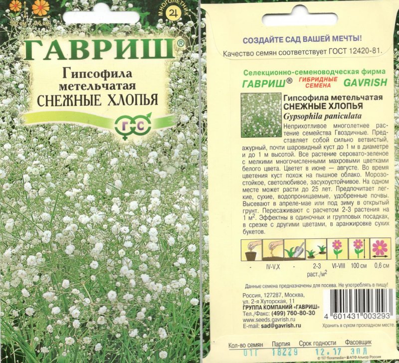 Гипсофила снежные хлопья
