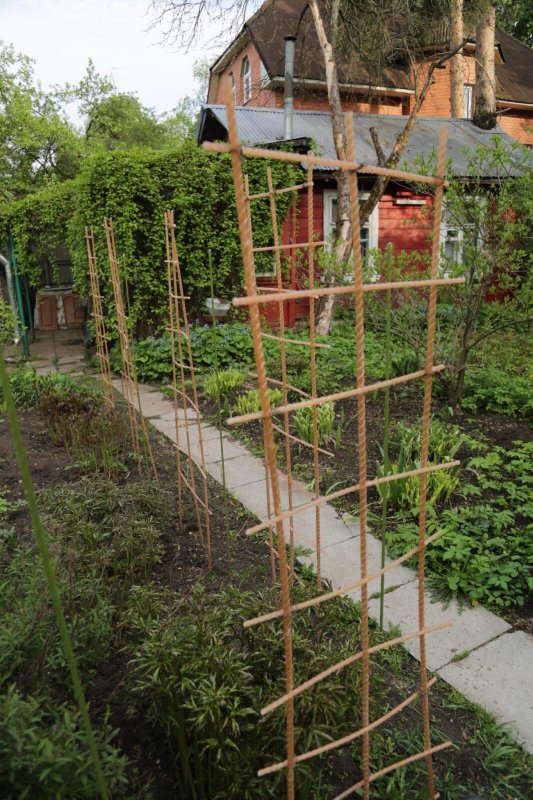 Шпалера из стеклоарматуры