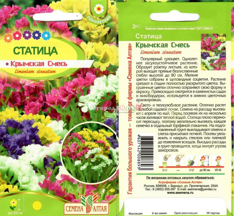 Цветы статица Крымская, смесь (0,2г)