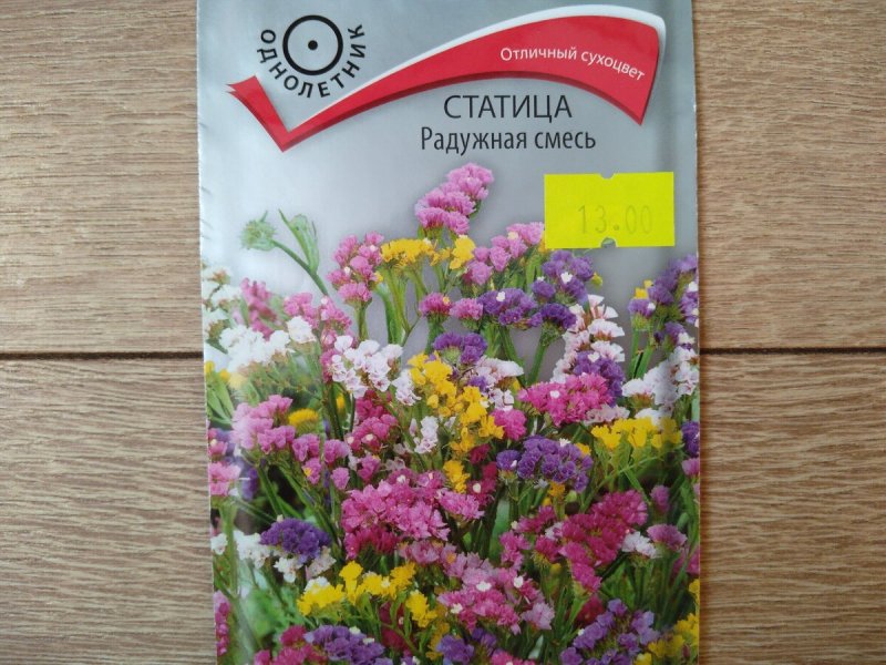 Семена статица Радужная смесь