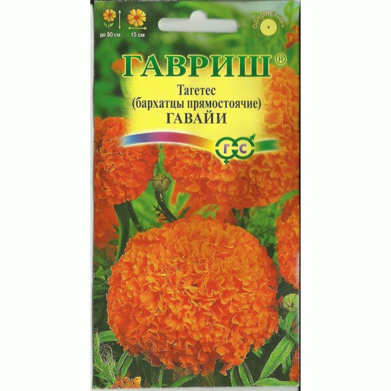 Бархатцы Гавайи Гавриш