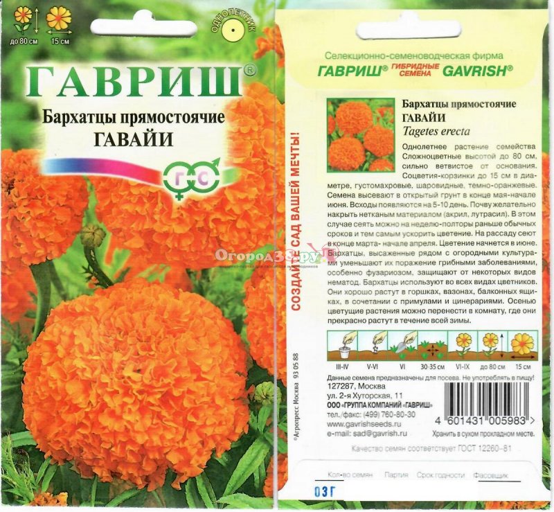 Бархатцы прямостоячие Гавайи
