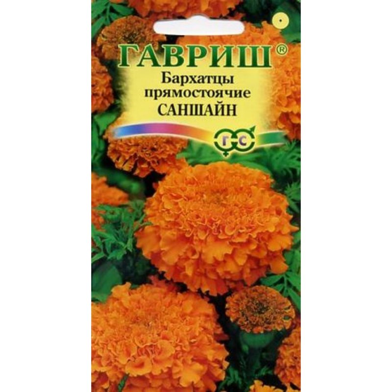 Бархатцы Тагетес Саншайн