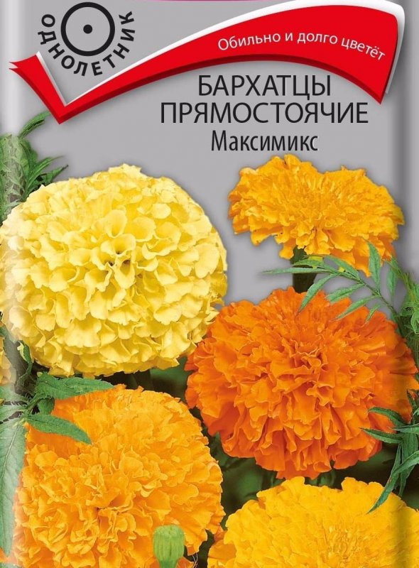 Бархатцы прямостоячие МАКСИМИКС