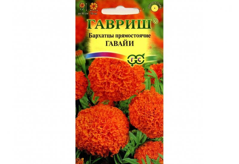Бархатцы прямостоячие Гавайи