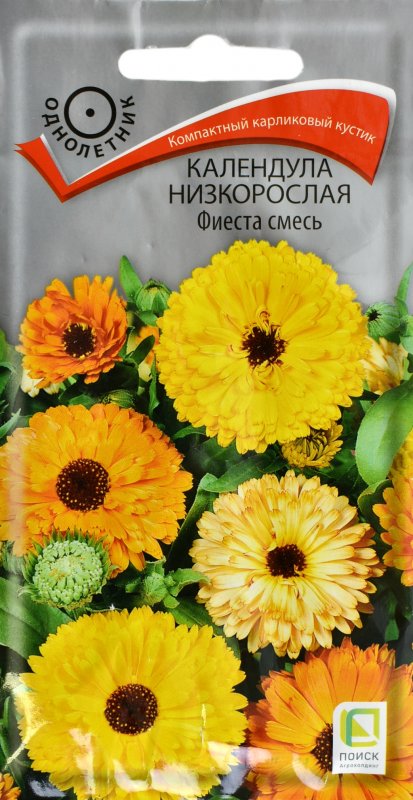 Календула низкорослая Фиеста оранжевая