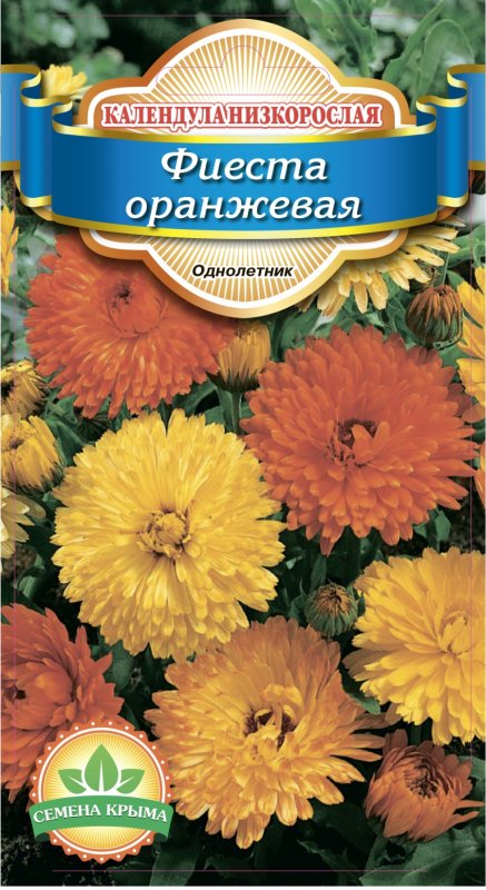 Календула Фиеста