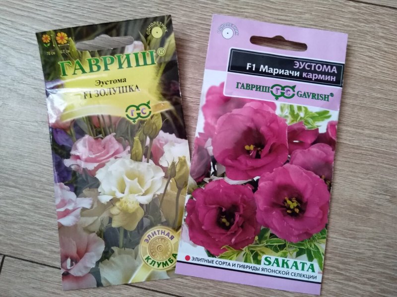 Эустома Садовая многолетняя семена
