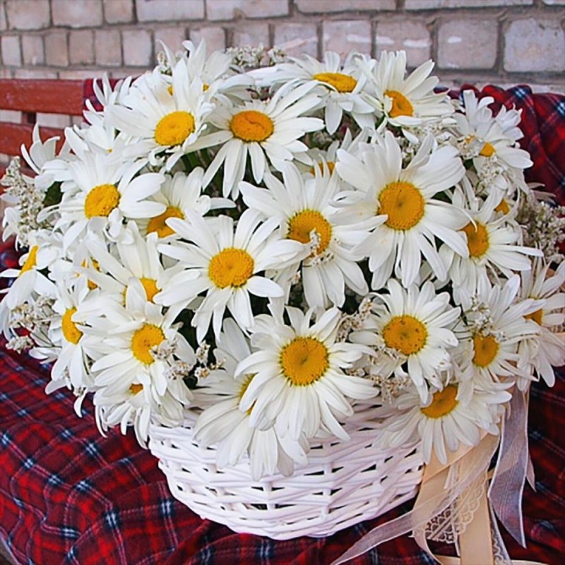 Корзинка с ромашками
