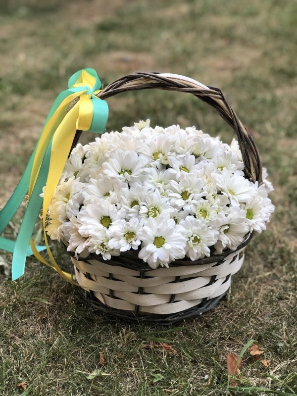 Цветочные композиции из ромашек