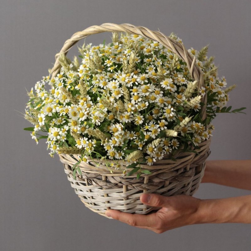 Цветы в корзине ромашки