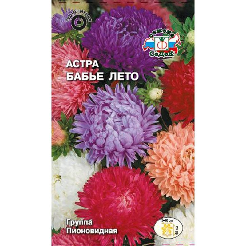Бабье лето растение