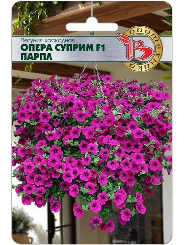 Петуния опера Парпл ампельная f1