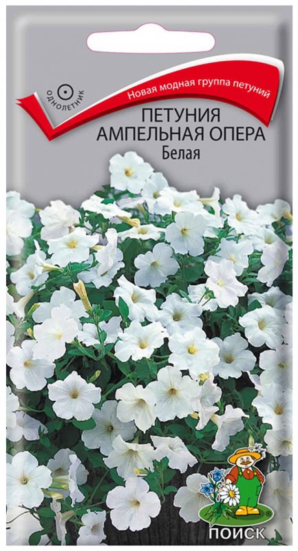 Петуния ампельная опера
