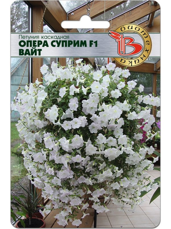 Петуния ампельная опера Вайт