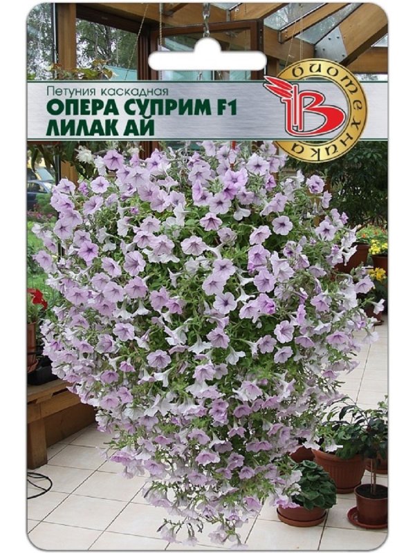 Петуния каскадная опера Суприм Лилак ай