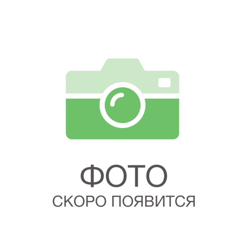 Дерево шелковица красная