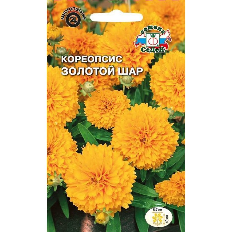 Кореопсис красильный Шарман