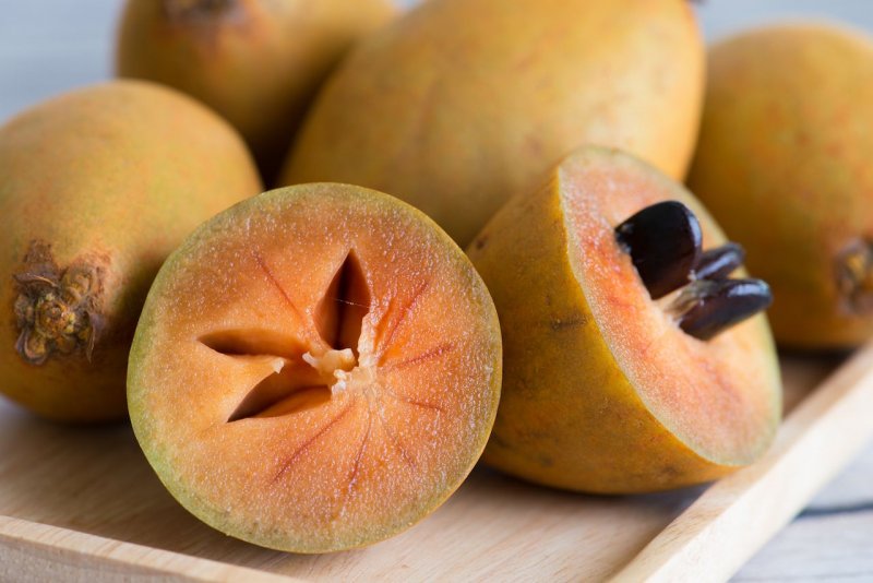 Manilkara zapota