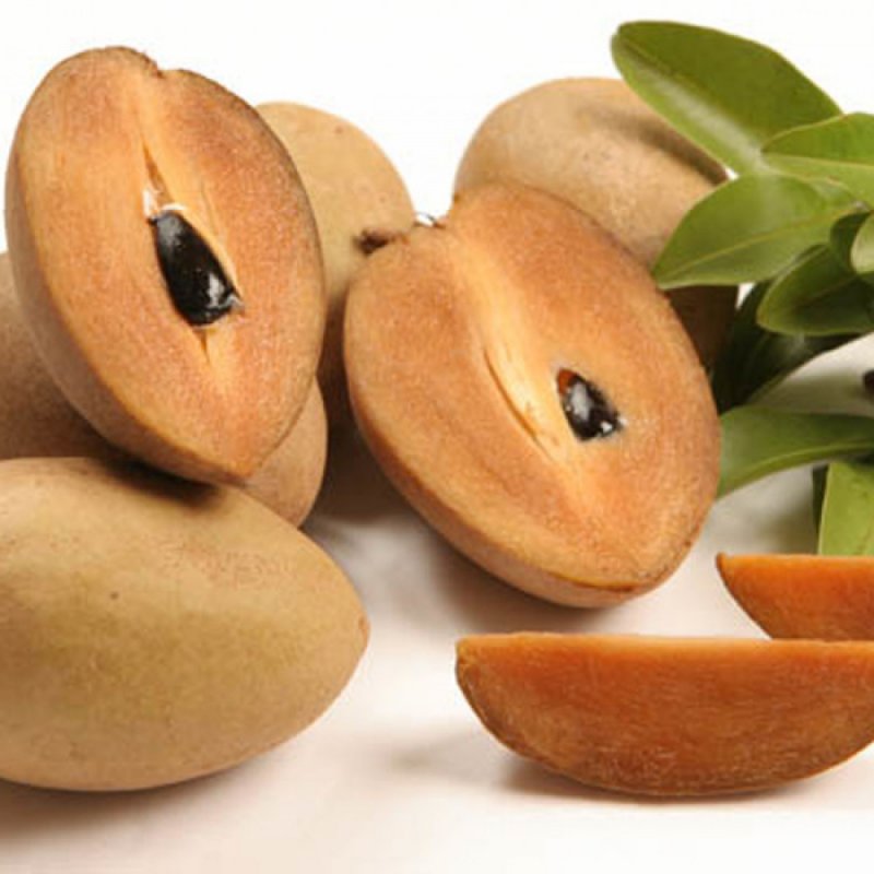 Manilkara zapota