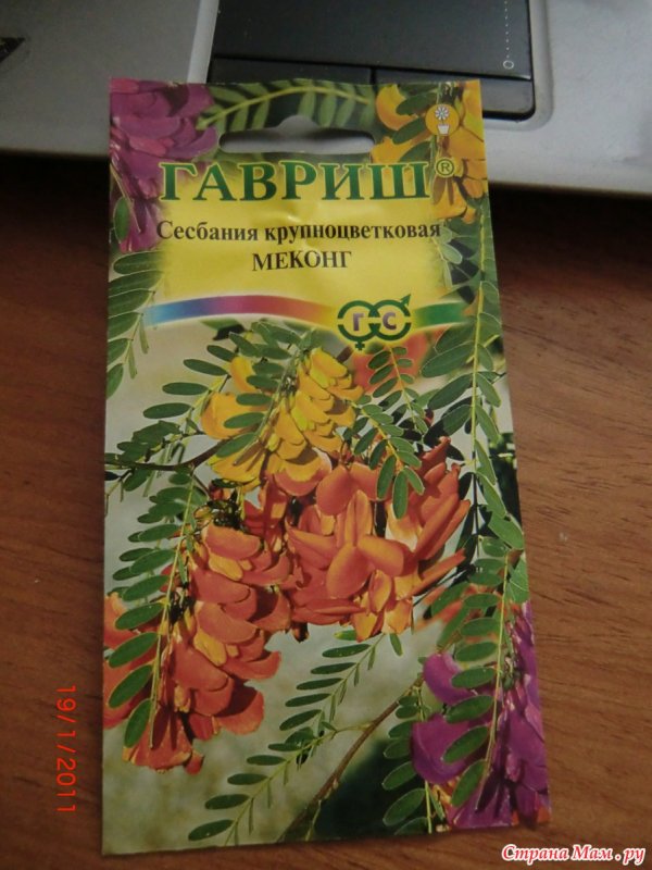 Сесбания крупноцветковая Меконг