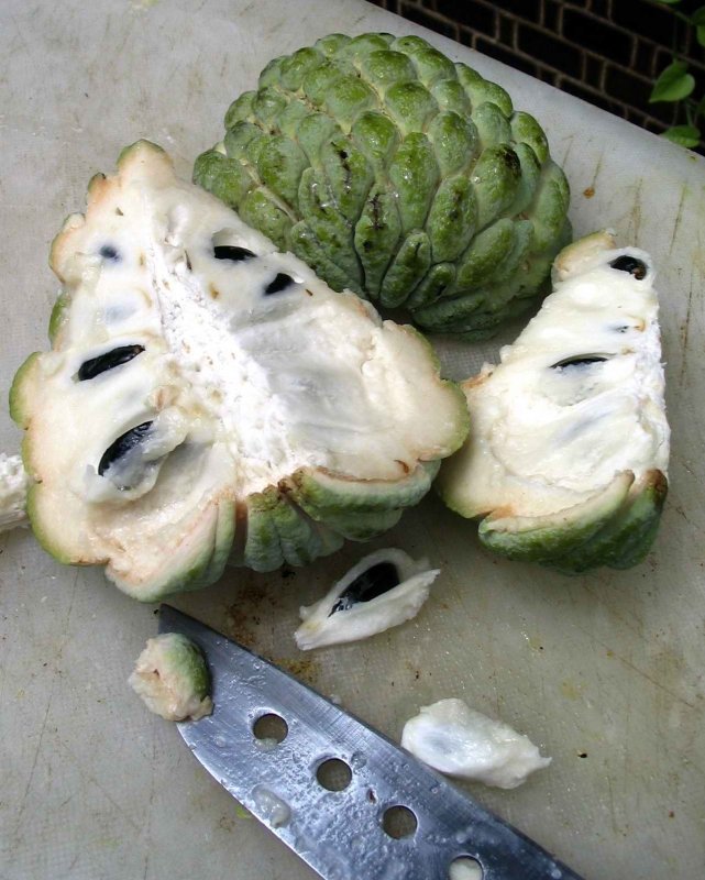 Custard Apple фрукт
