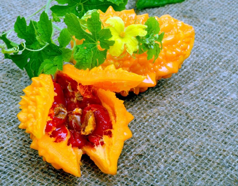 Момордика кохинхинская