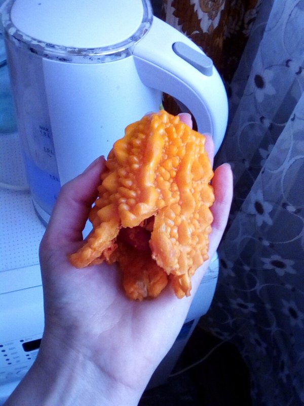 Момордика cochinchinensis