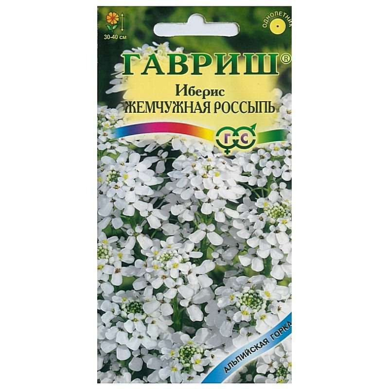 Иберис Жемчужная россыпь